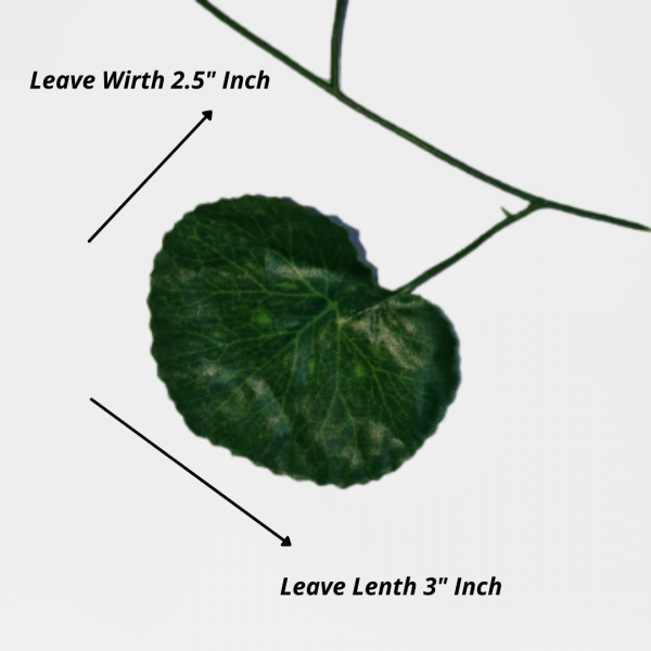 Artificial Leaf Bail Green Color Leafs Hanging Bail Use for Home, Office and Wedding Decoration.